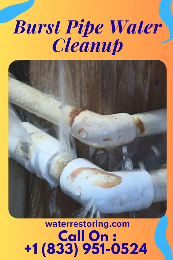 Burst Pipe Water Cleanup in Jonesville, IN