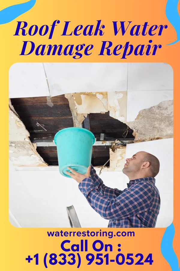 Roof Leak Water Damage Repair in Jonesville, IN