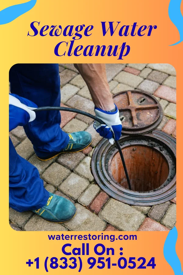 Sewage Water Cleanup in Jonesville, IN