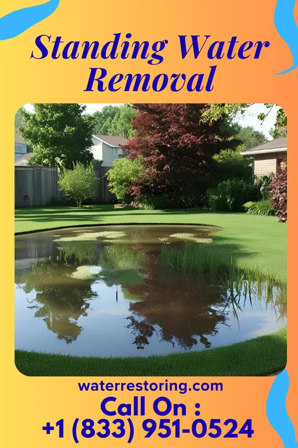 Standing Water Removal in Jonesville, IN